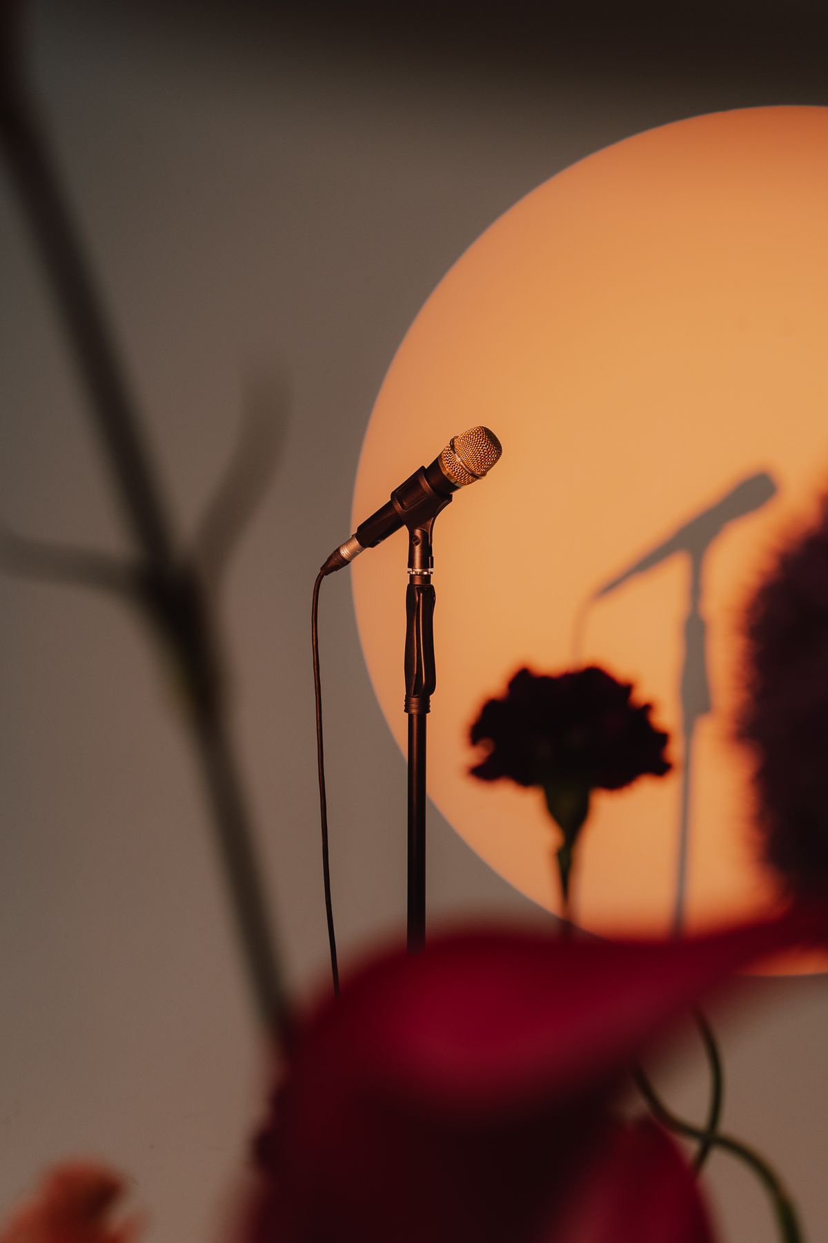 Mikrofon und Blumen als Silhouette vor dem Licht